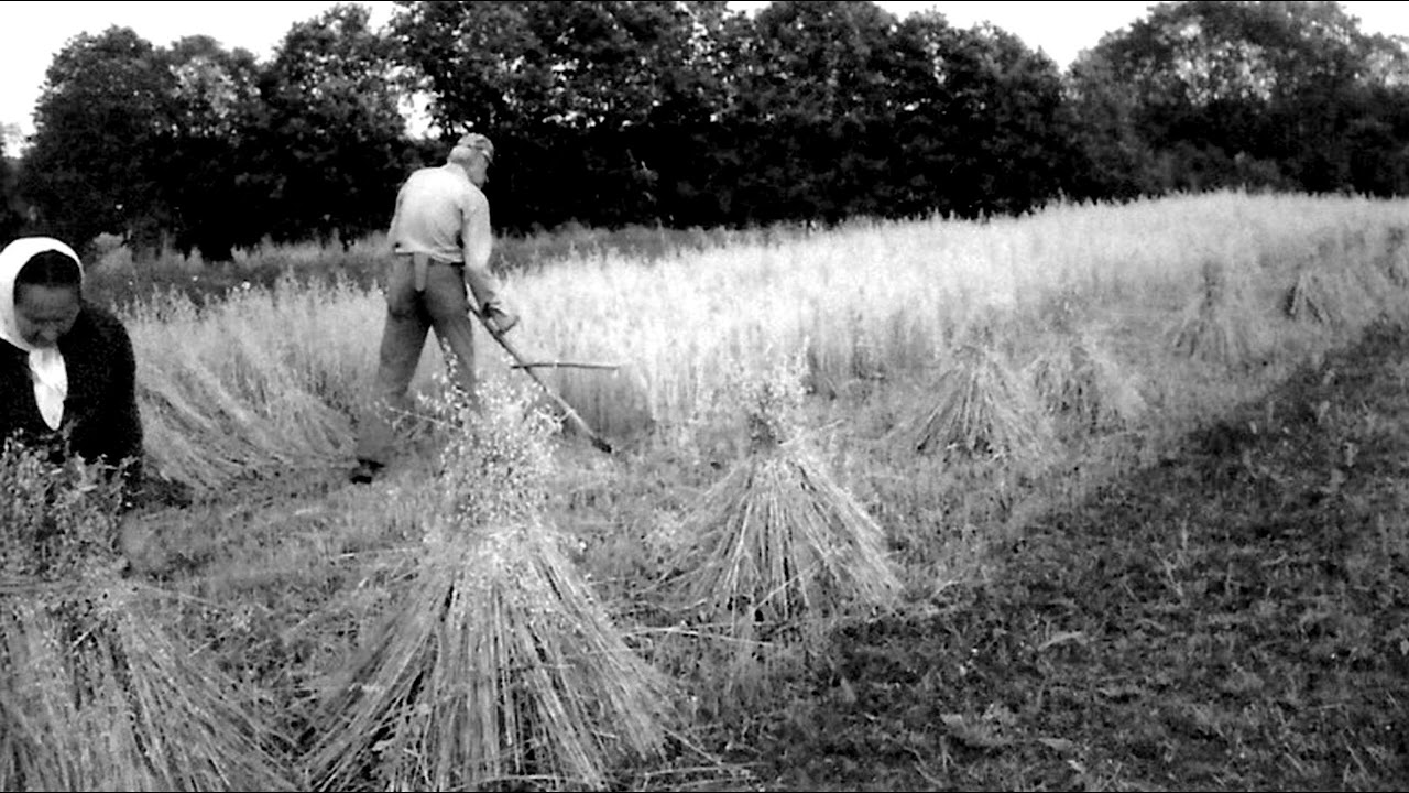 Mediñ, savodenniñ ha dornañ (Brennilis)