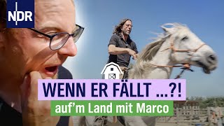 Marco Scheel lernt endlich reiten | Folge 12 | NDR auf'm Land