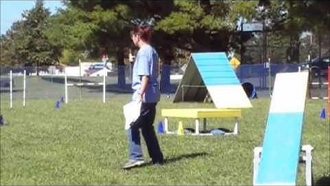 Public Demo of Dog Agility - Introduction and Examples of what to expect at a real trial