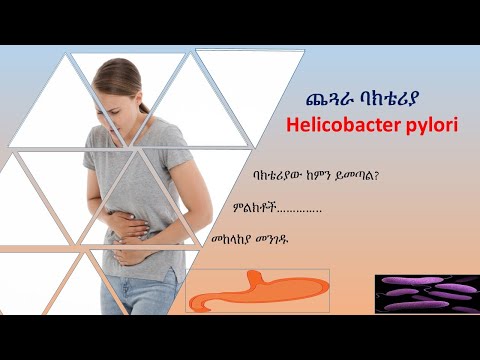 Helicobacter pylori / የጨጓራ ባክቴሪያ