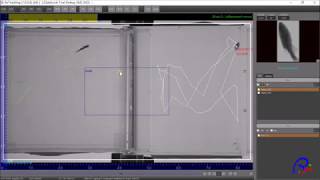 Zebrafish 3D locomotion tracking