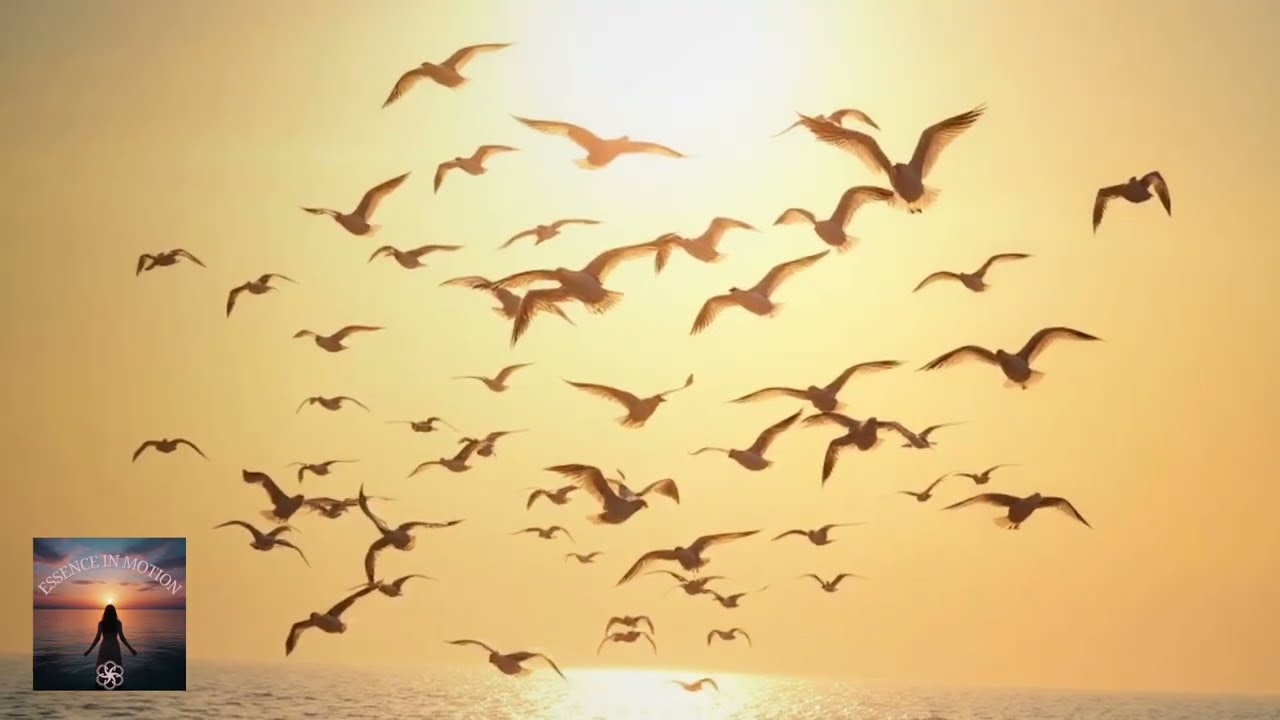 Смотреть «Floating by Samaistha» на YouTube Смотреть «Floating by Samaistha» на YouTube