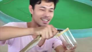 Thailand Snake Show.  Worker kisses the cobra [he really does kiss it!]  Adrenaline rush.