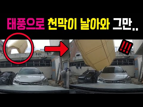 11616회. 태풍에 천막이 날아와 차를 덮쳤습니다. 천막 주인이 100% 책임져야 하지 않나요?