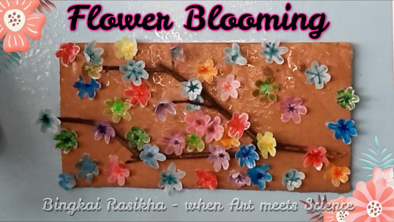 Blooming Paper Flower When Creative Art meets Science Experiment Eksperimen Sains Anak Bunga