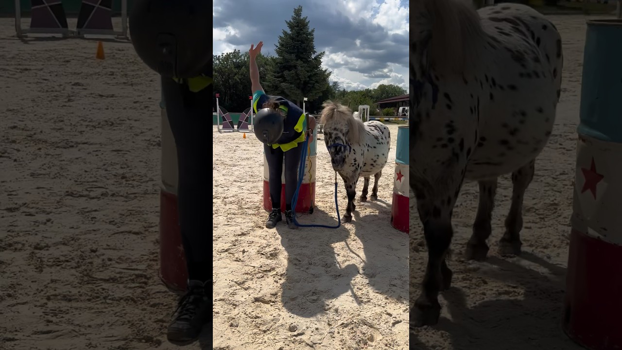 Popo 💩 fait de l’equifeel au Ride and Fun 🤣😭