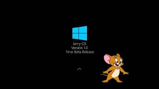 Never Released Operating Systems 295
