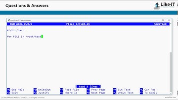bash how to loop through files