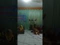 Cek sound buat perpisahan sd karangpari 1