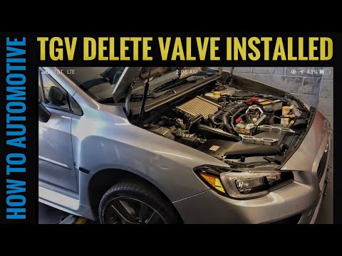 How to Install TGV Delete Valves on A 2015-2018 Subaru WRX
