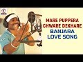 Banjara New Superhit Video Song | Mare Puppera Chori Dekhare Banjara Love Song