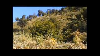 Download Lagu luri hlang pang MP3