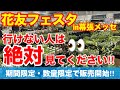 【花友フェスタ】出店特別セットを数量限定で販売します!来れない方は必ずチェックしてください‼︎Ver488【カーメン君】【チューリップ】【球根】【宿根草】