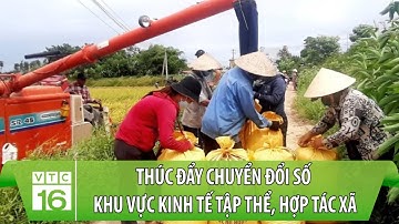 Thúc đẩy chuyển đổi số khu vực Kinh tế tập thể, Hợp tác xã | VTC16