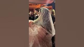 بوسي رقصت وغنت مبروك عليا في فرحها