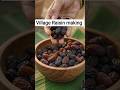 Traditional Raisin Making 🍇 | From Fresh Grapes to Sweet Raisins | Village Cooking #shorts