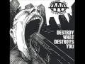 Lifestyle of Rebellion - Destroy What Destroys You - Against All Authority