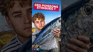 Comment Remplir Nos Assiettes Sans Vider La Mer ? - Le Vlog Des Constructifs Ep6
