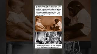 The Chimp Raised as a Human - Why the Experiment Had to Stop