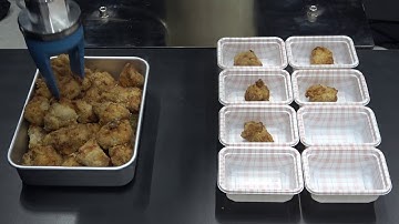 Bin Picking of Fried Chicken（唐揚げのバラ積みピッキング）