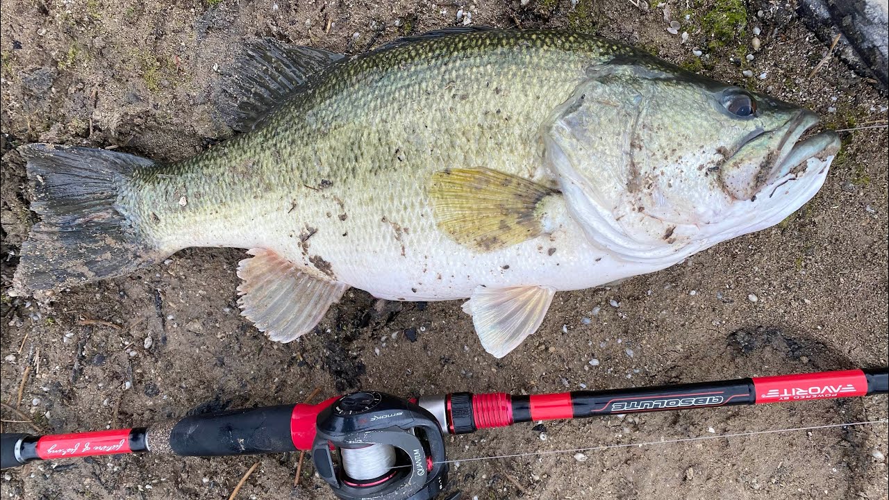 Epic day of catching OVER 100lbs of Largemouth Bass with Mike! Part 1 