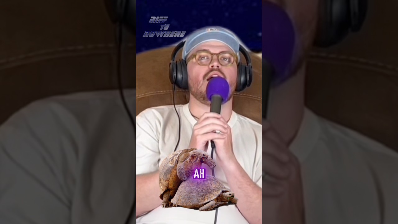 noises were made. laughs were had. animals were gay. 