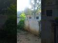 ഒരു ഞായറാഴ്ച 😍😍😍😍#familyvlog #shortvideo #home #morning #vibes #peacefulplace #sunday #vlog #explor