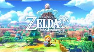 Legend Of Zelda Links Awakening 27 The Best Farts