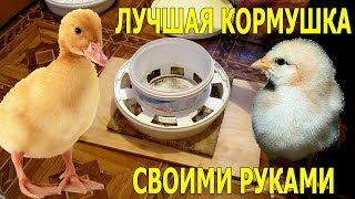 КАК СДЕЛАТЬ САМУЮ ЛУЧШУЮ КОРМУШКУ ДЛЯ КУР ЦЫПЛЯТ СВОИМИ РУКАМИ