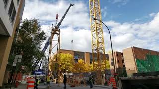 Tower crane assembly - Liebherr Crane