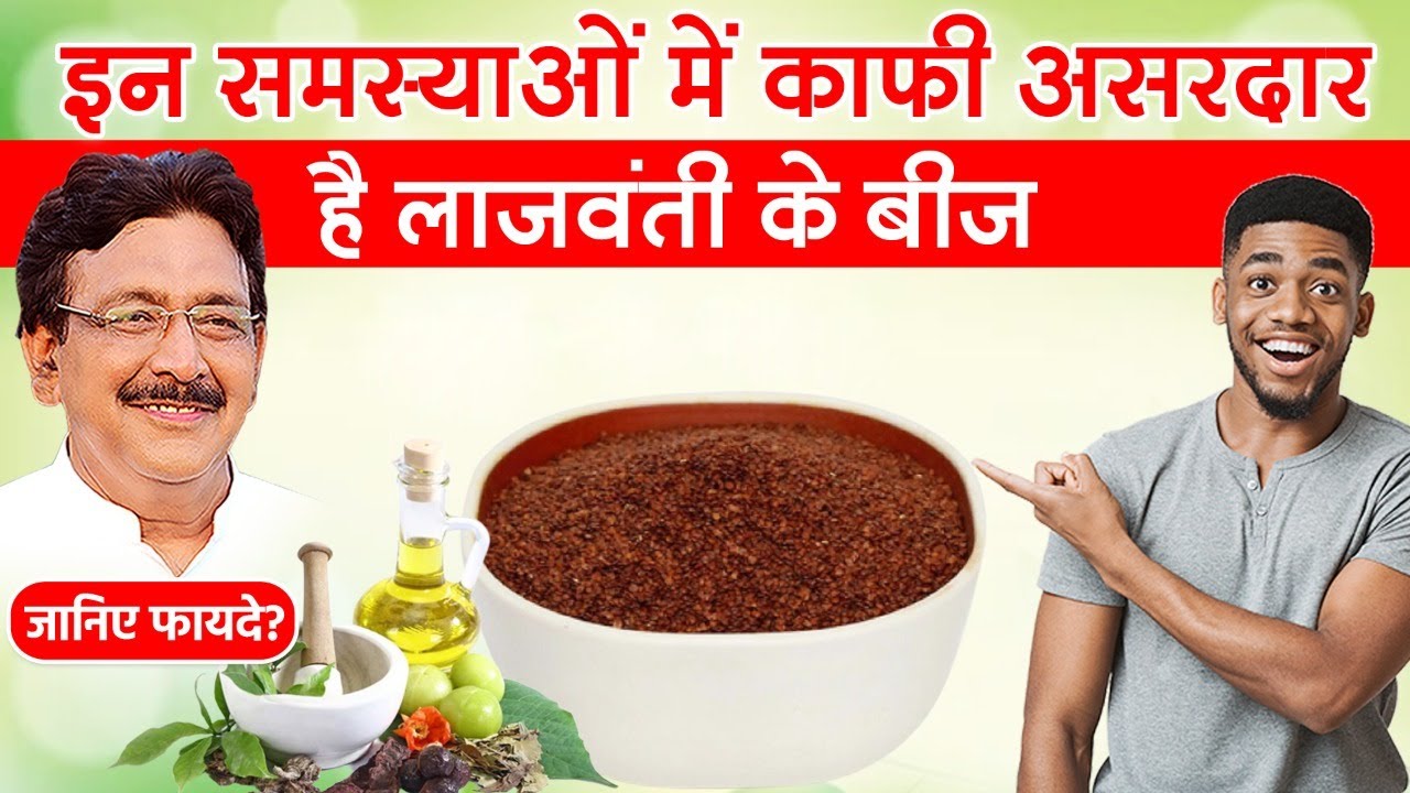 Lajwanti Ke Fayde Shameplant YouTube lajwanti-ke-fayde-shameplant-youtube