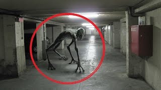 worlds scariest creatures caught on tape 2016
