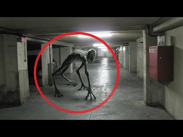 Worlds Scariest Creatures Caught On Tape 2016 - YouTube