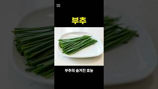 부추의 숨겨진 효능 #부추 #효능 #부추효능 #부추전  #부추겉절이 #부추무침  #건강정보 #건강꿀팁 #건강상식 #건강습관 #중년건강 #건강생활 #참꿀몽