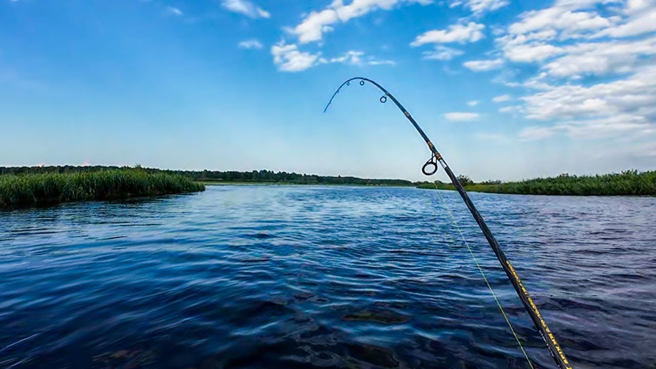 Tiirutan Emajõel 18.07.2025
