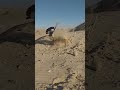 subhanallah 🕋🕋🕋