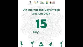 15 Days to go for the #IDY Countdown