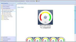 Sap Solution Manager Businessobjects Xcelsius Project Management Status Dashboard