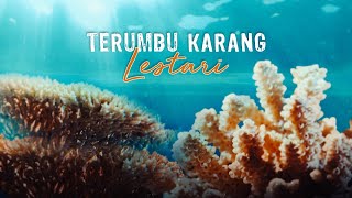 Pelestarian Terumbu Karang Laut Indonesia