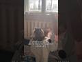 тгк прогулки в дереализации #украшенияручнойработы #котик