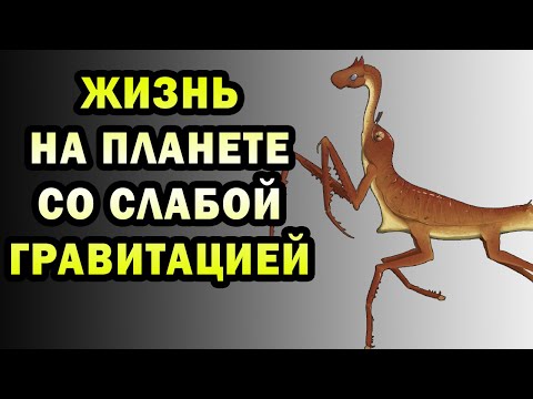 Животный мир в условиях слабой гравитации | Спекулятивная биология