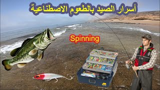 إحترف الصيد 🎣 بالطعوم الاصطناعية . تعليم الصيد بتقنية بالجر spinning screenshot 2