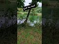 الرضا جنة الدنيا الجمال الطبيعة المانيا السعودية العراق سوريا