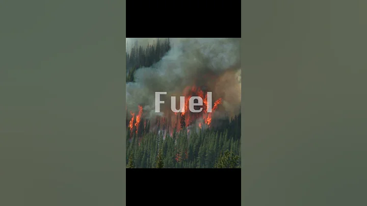 How Wildfires Start and Spread...