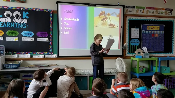 A presentation on flies