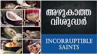 അഴകതത വശദധർ Incorruptible Saints Incorruptible Bodies Catholic Saints Christian 