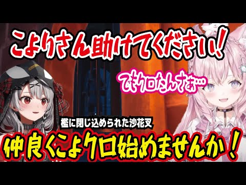 仲良くこよクロ始めませんか 開始6時間から始まるこよクロ 檻に閉じ込められた沙花叉の命乞いが始まる【ホロライブ/博衣こより/沙花叉クロヱ】