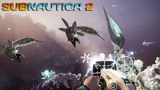 Die SEUCHENZONE und RIESENKRABBEN - Subnautica 2 4K Gamep...