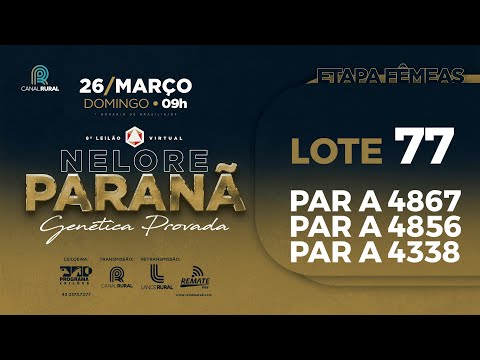 LOTE 77 PAR A4867 PAR A4338 PAR A4856