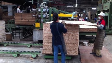 HAPCO 8 FEET GLUE SPREADER - VIETNAM WORKING MODEL 8FEET GLUE SPREADER FOR PLYWOOD